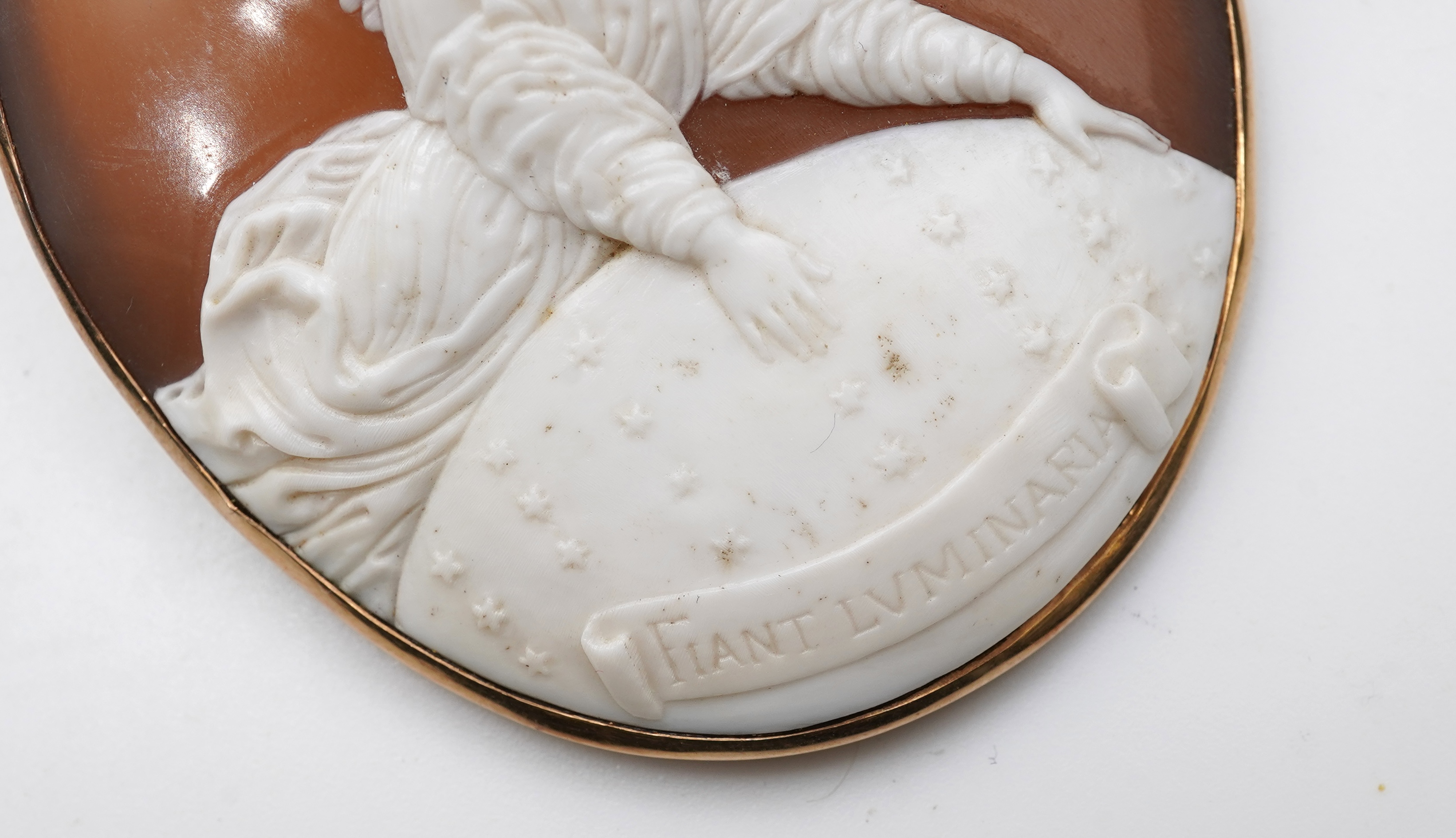 An unusual shell cameo brooch, late 19th century